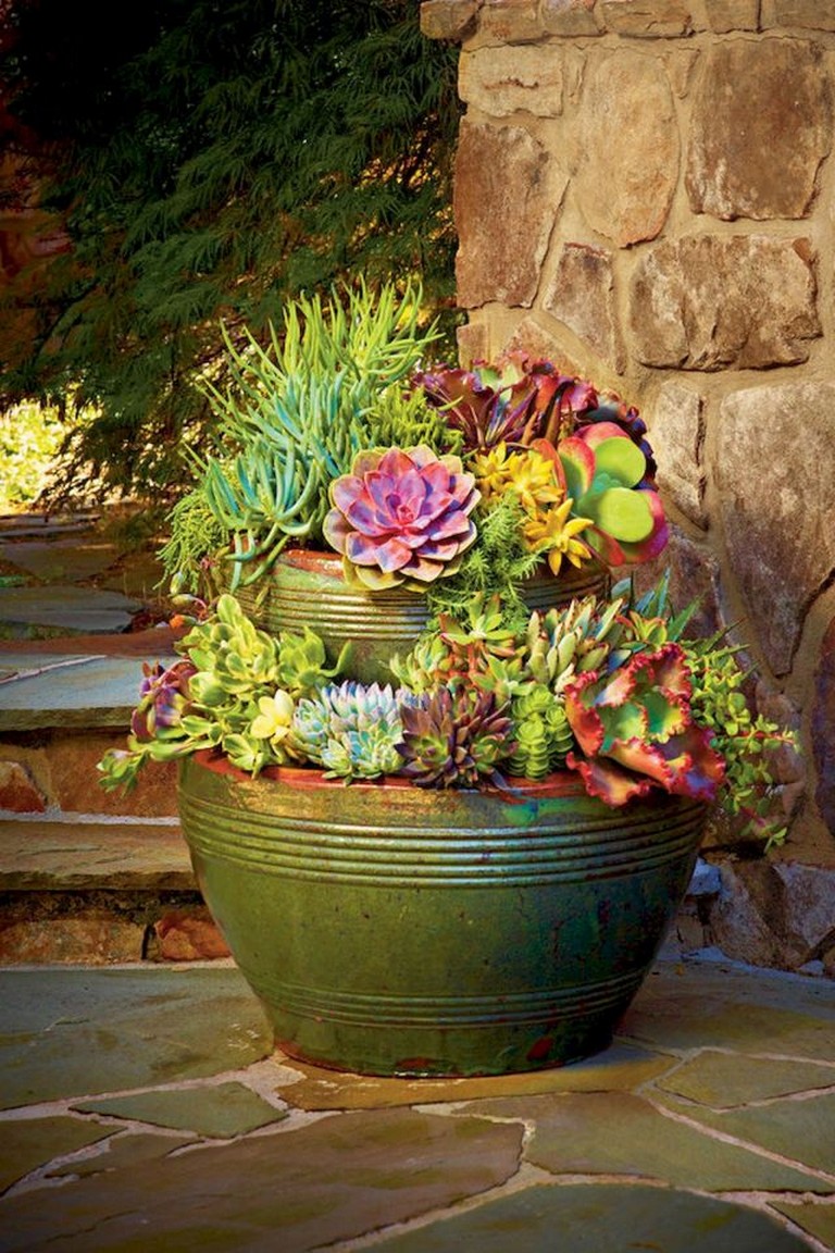 45+ Beautiful Container Gardening Ideas - Page 8 of 36